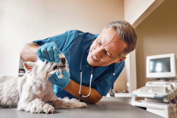 Best Pediatric Emergency Dentist in Hapeville, GA
